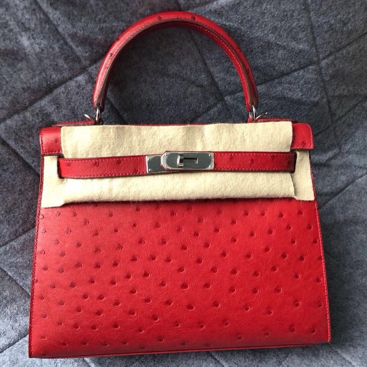 Hermes Birkin 25 Rouge Vif Togo Gold Hardware #C - Vendome Monte Carlo