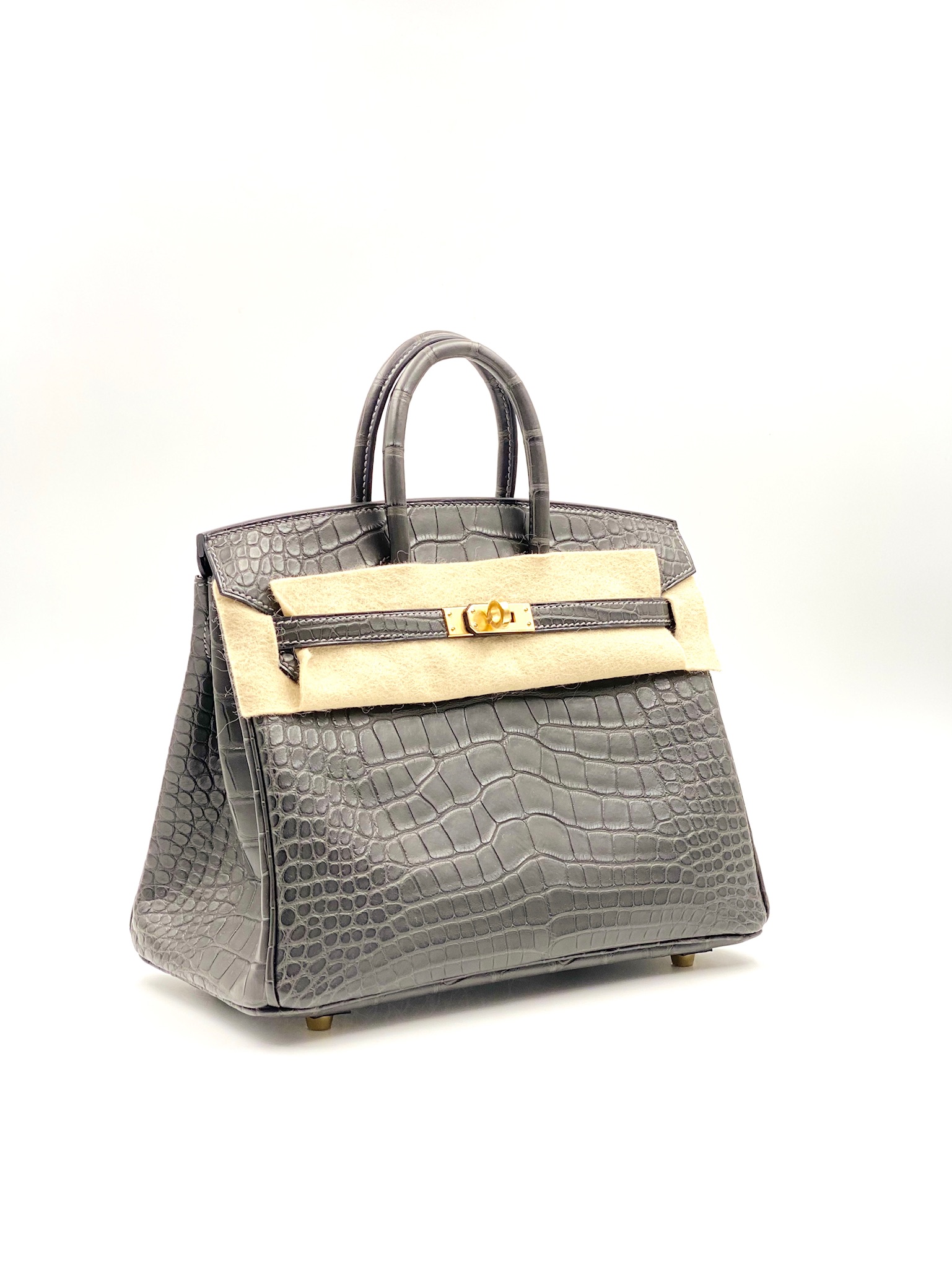 Birkin 25 in Matte Beton Alligator Mississippiensis with Gold hardware