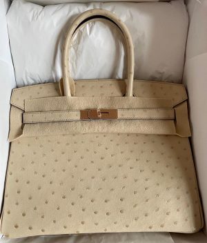 Hermes birkin 30 Parchemin Ostrich SHW stamp T