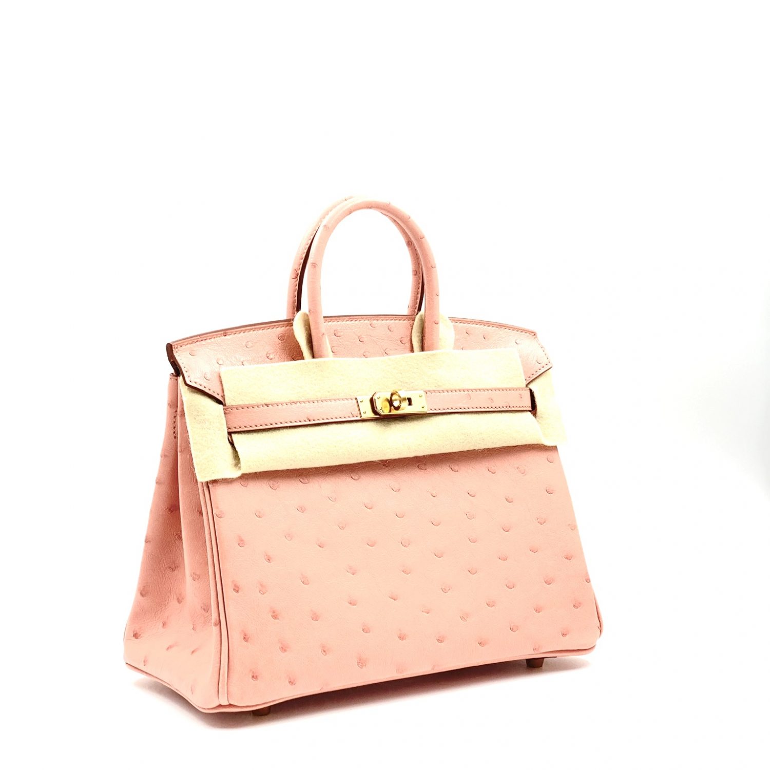 Terre Cuite Birkin Hermès Ostrich Birkin 25 2025