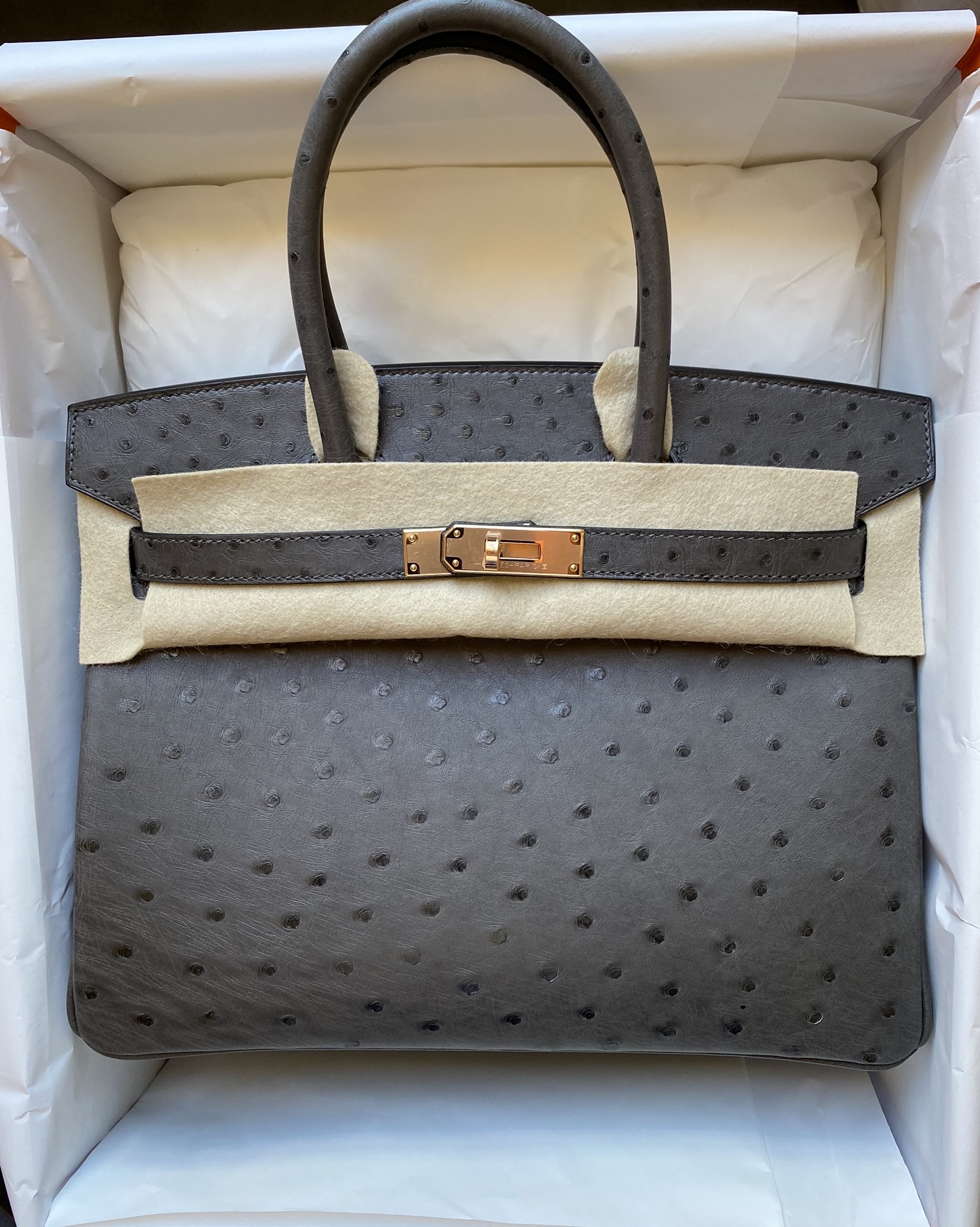 Hermes Birkin Handbag Noir Ostrich with Gold Hardware 30 Black