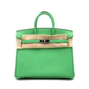 Hermes Birkin 25 Vert Comics Togo Palladium Hardware