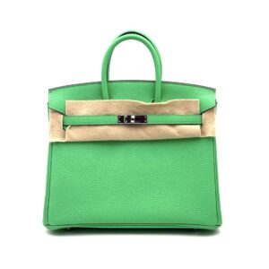 Hermes Birkin 25 Vert Comics Togo Palladium Hardware