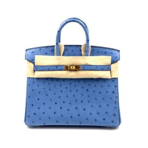 Hermes Birkin 25 Mykonos Ostrich Gold Hardware
